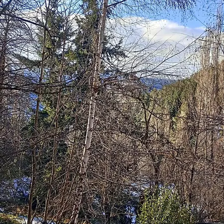 Chapelco Cabana San Martín de los Andes Exterior foto