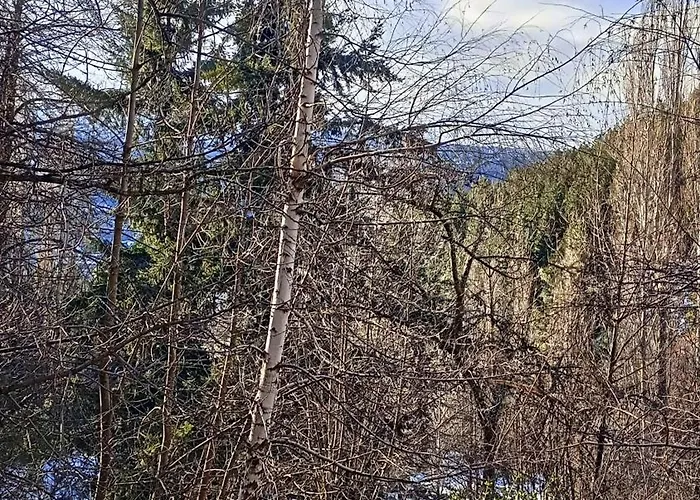 Chapelco Cabana