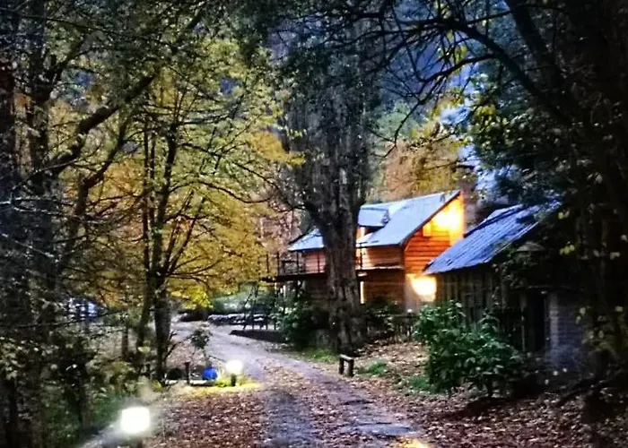 Chapelco Cabana
