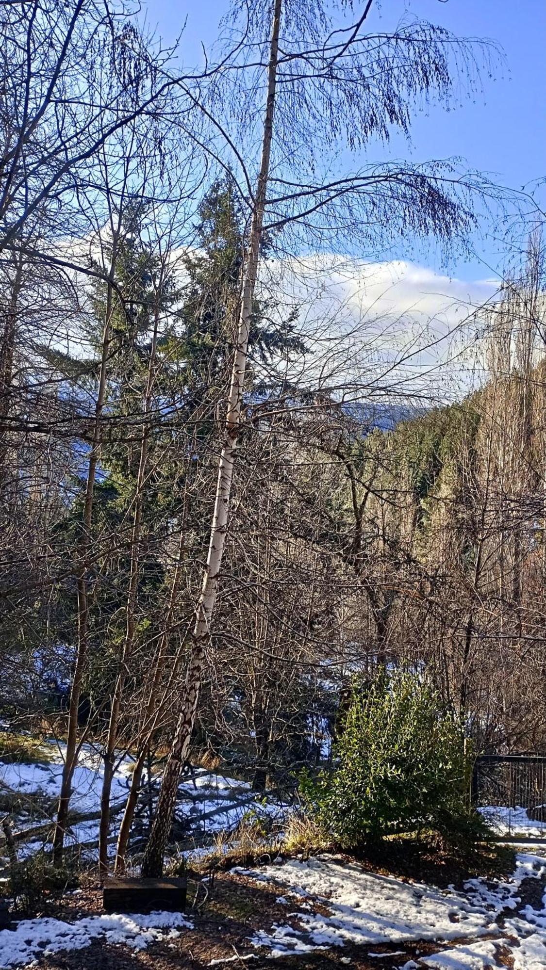 Chapelco San Martin de los Andes