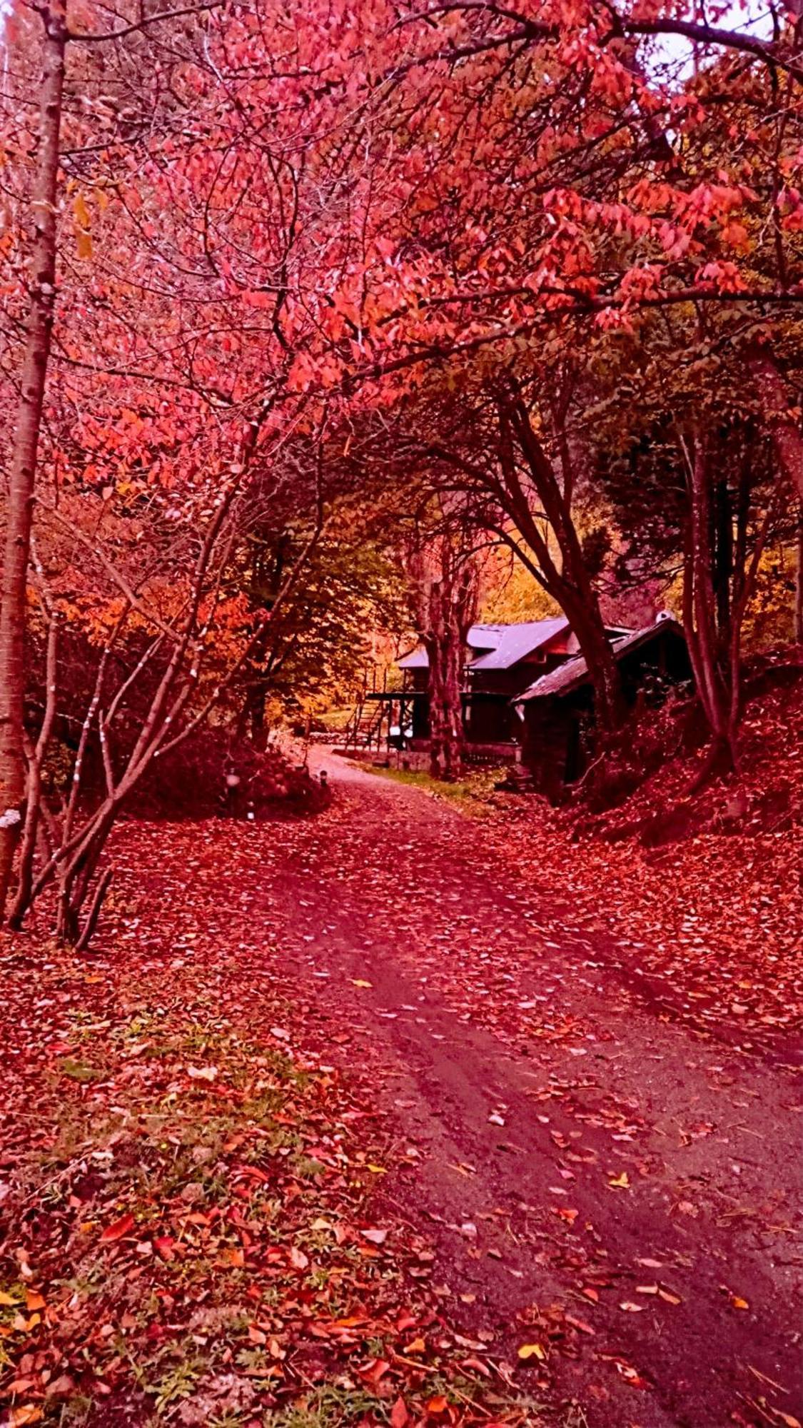 Chalet Chapelco *